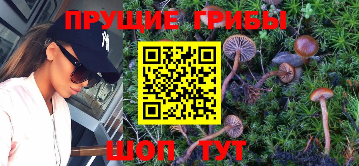 купить наркотики цена  Псилоцибиновые грибы Magic Shrooms  Вход с VPN  Галлюциногенные грибы Cubensis  Усть-Кут 